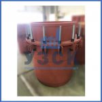 Купить сальниковые компенсаторы Ду 1000, Ду 700, Ду 800, Ду 600, Ду 500, Ру 25 в Северодвинске